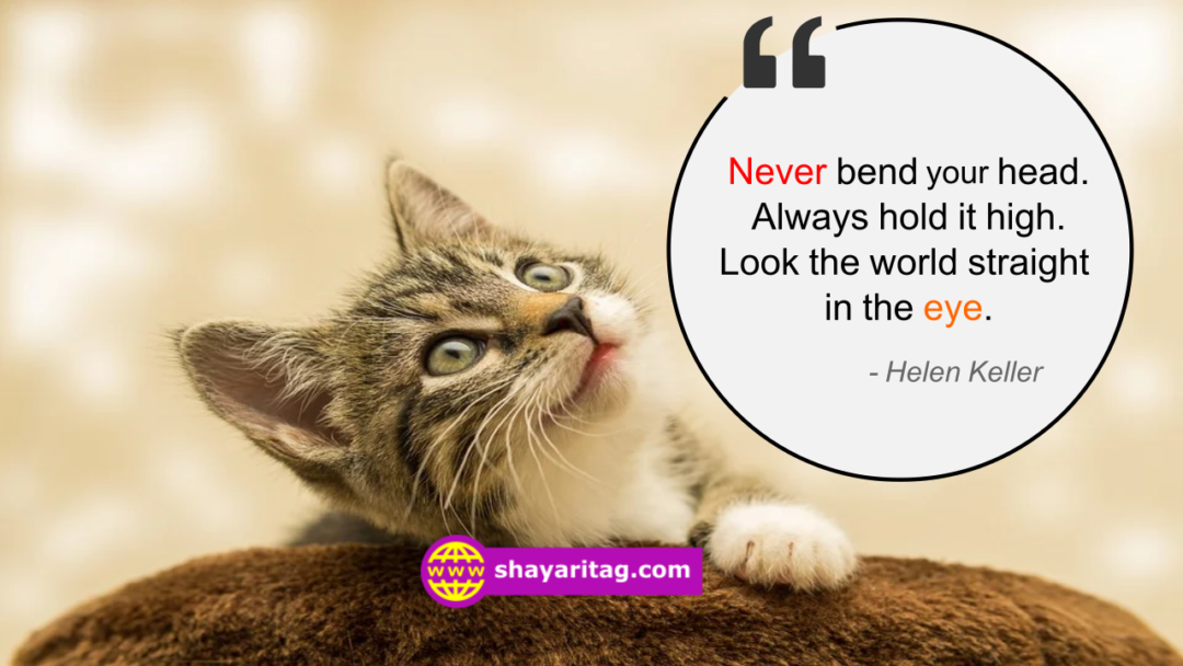 Never bend your head | Motivation Quotes in English with image
