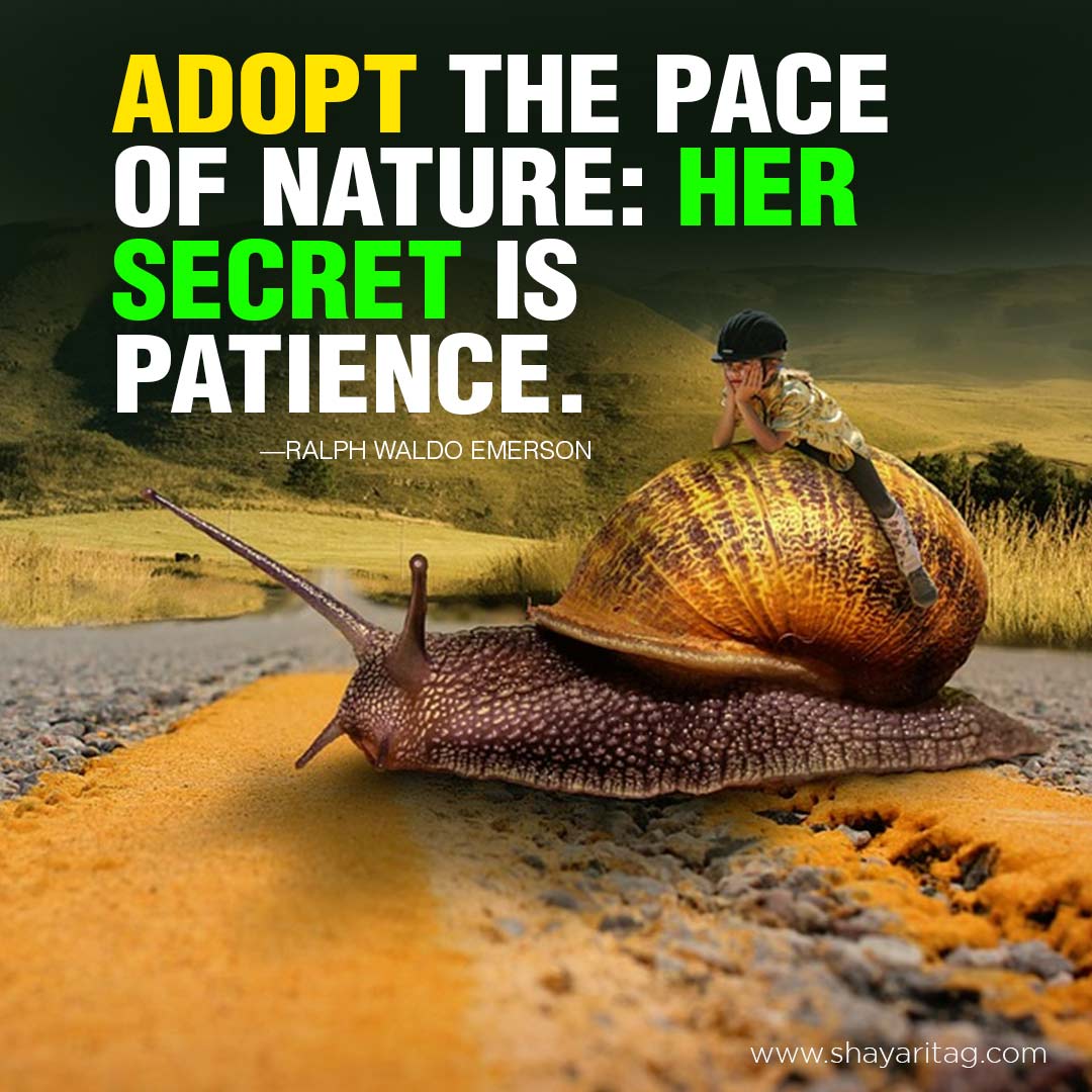 Adopt the pace of nature | Happiness Quotes in English with Image
