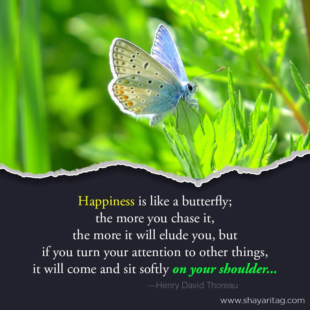 Happiness is like a butterfly-Best happiness quotes in English with images