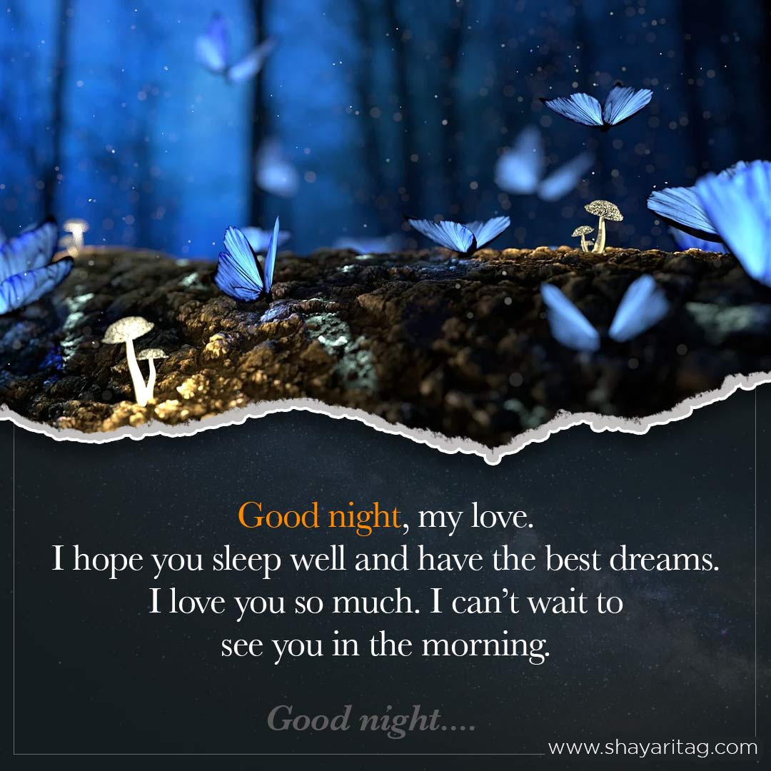 I hope you sleep well and have the best dreams-Special Good night quotes in English with image
