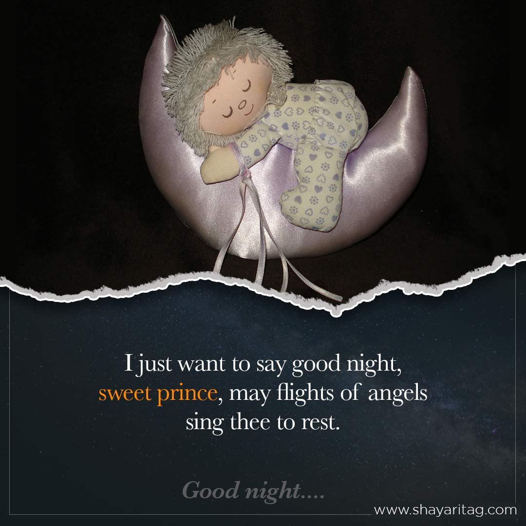 I just want to say good night-good night shayari in english