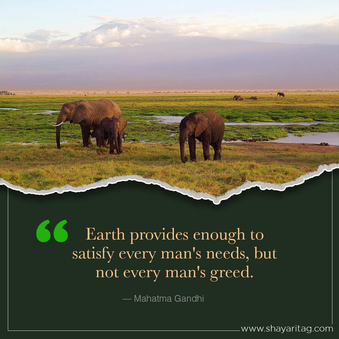 Earth provides enough to satisfy-Inspirational world environment day Quotes with poster