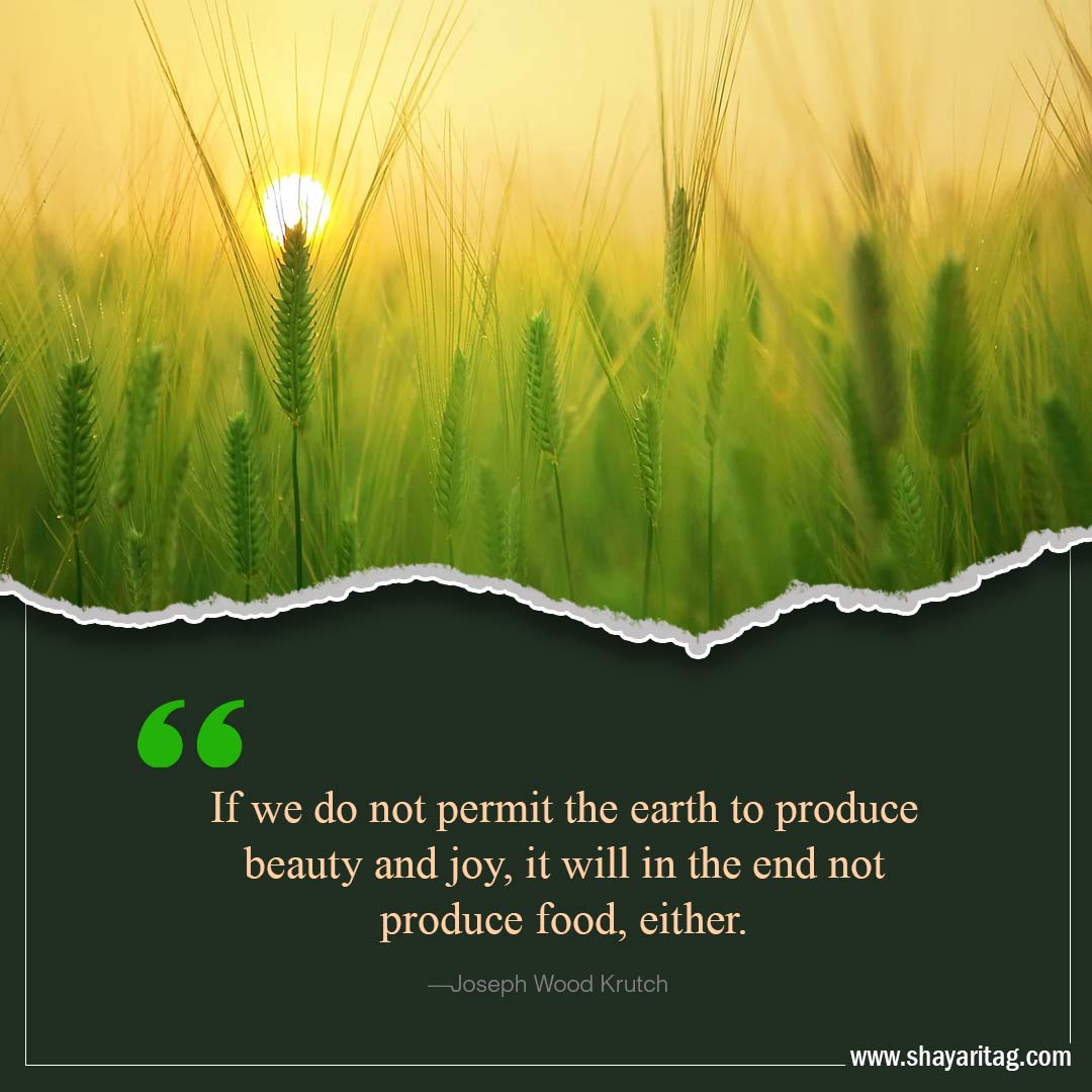If we do not permit the earth to produce-Inspirational world environment day Quotes with poster