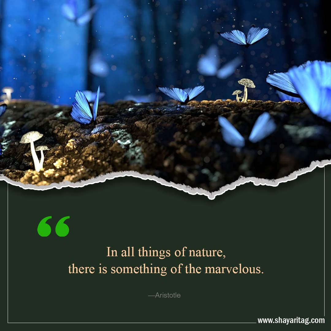 In all things of nature-Inspirational world environment day Quotes with poster