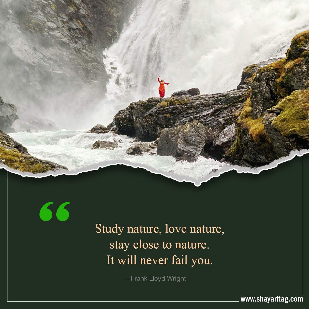 Study nature love nature-Inspirational world environment day Quotes with poster