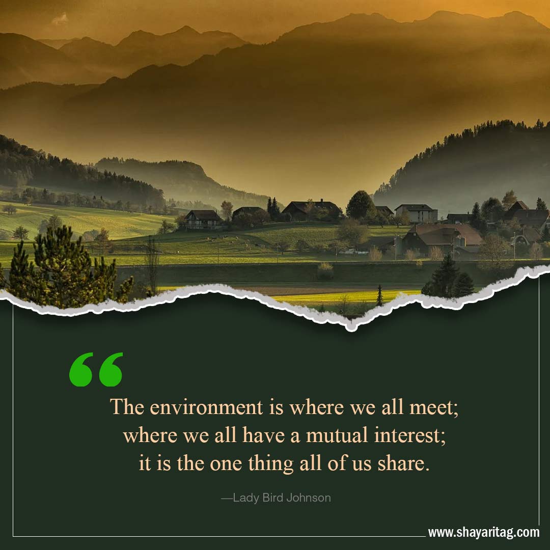 The environment is where we all meet-Inspirational world environment day Quotes with poster
