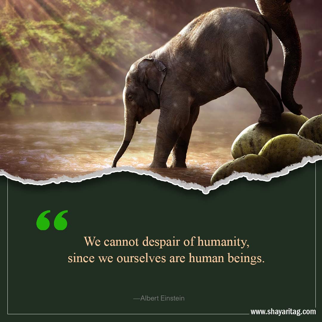 We cannot despair of humanity-Inspirational world environment day Quotes with poster