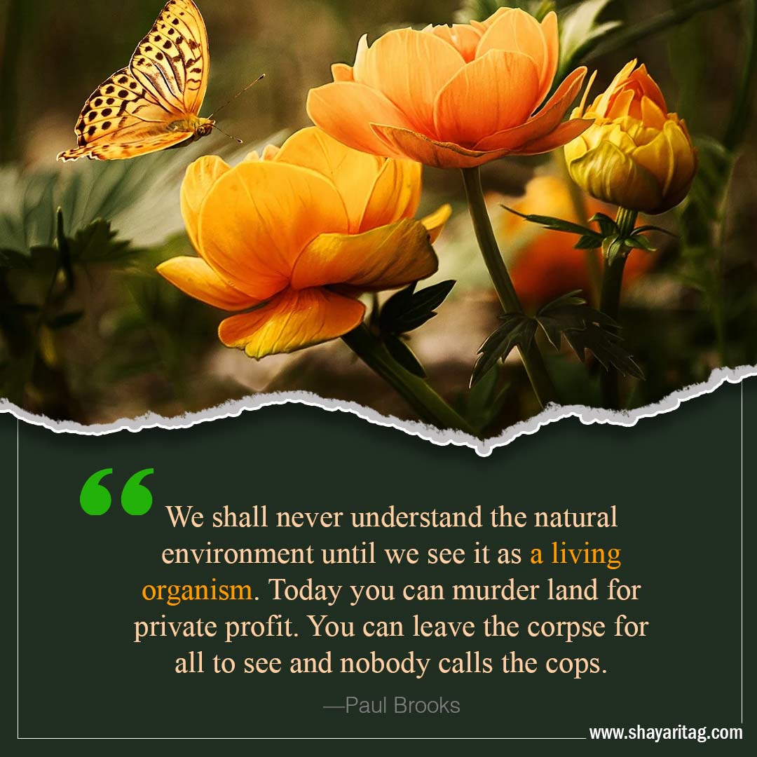We shall never understand the natural-Inspirational world environment day Quotes with poster