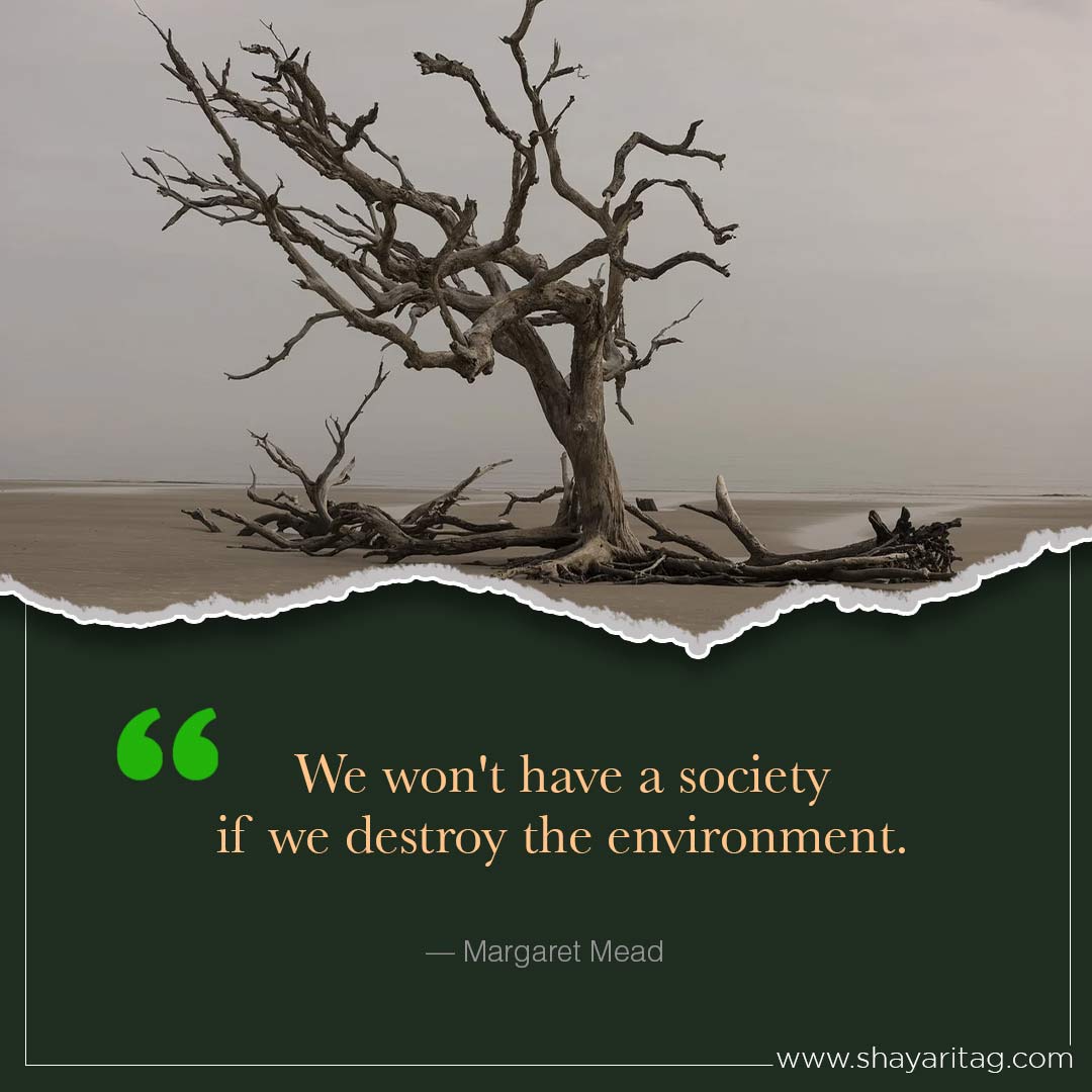 We won't have a society-Inspirational world environment day Quotes with poster