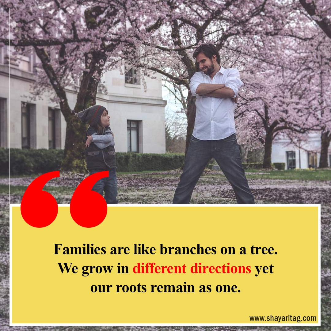 Families are like branches on a tree-Best quotes about family in English family love Status