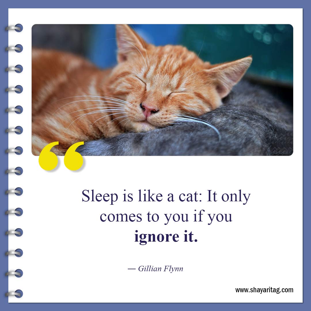 Sleep is like a cat-Inspirational Good night quotes Best Gudnyt quote