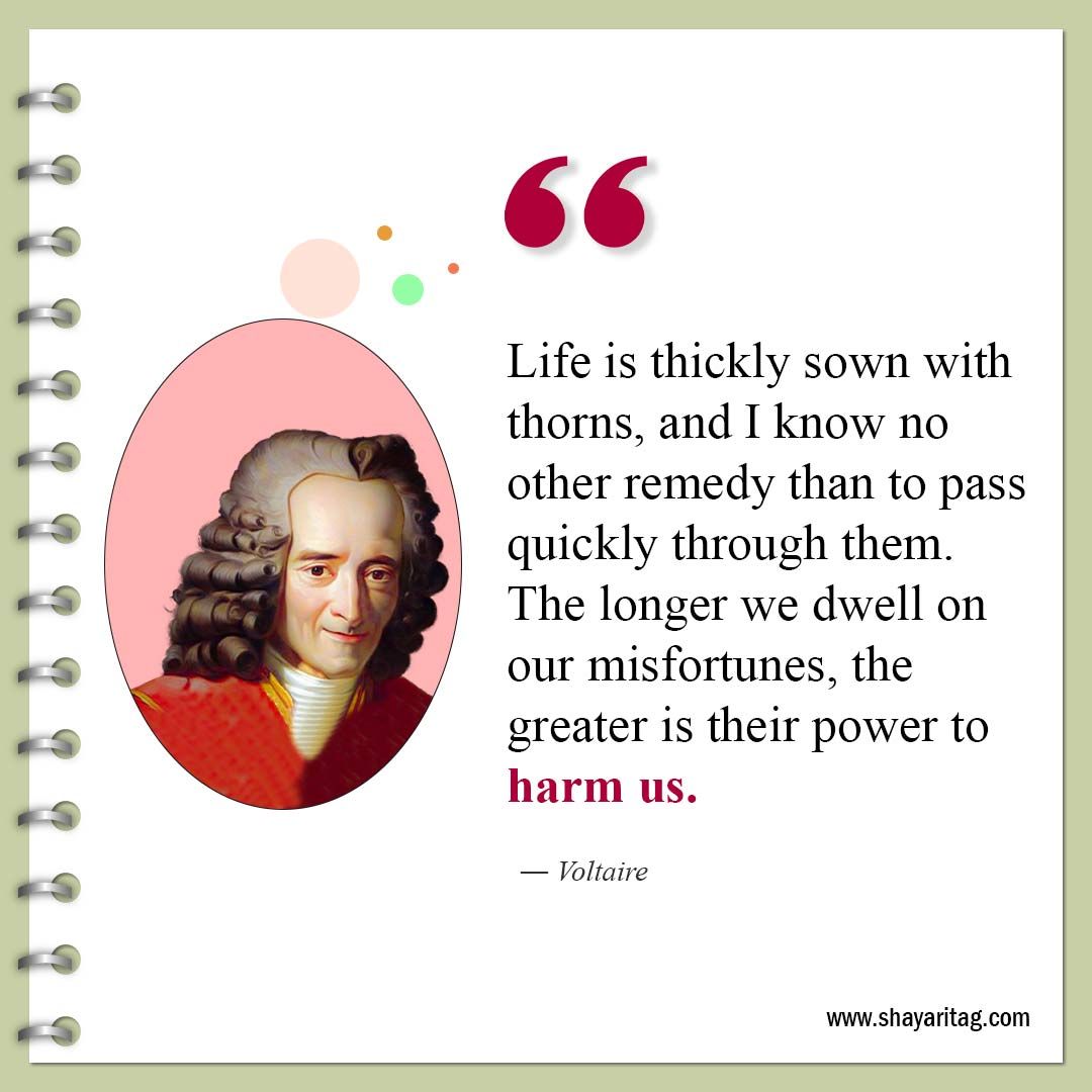 Life is thickly sown with thorns-Famous Quotes by Voltaire 