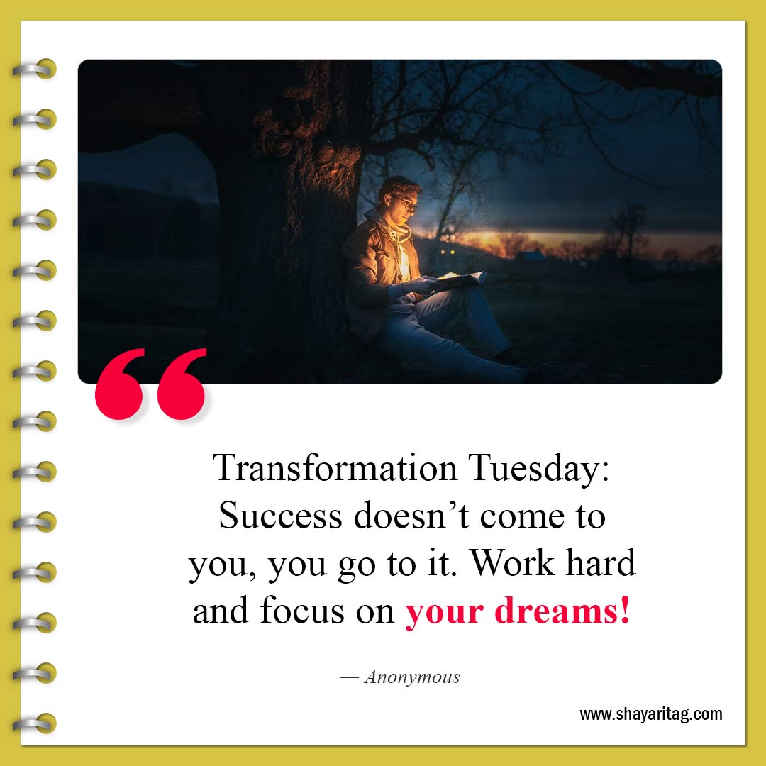 Transformation Tuesday Success doesn’t-Best Tuesday motivational quotes for business work 