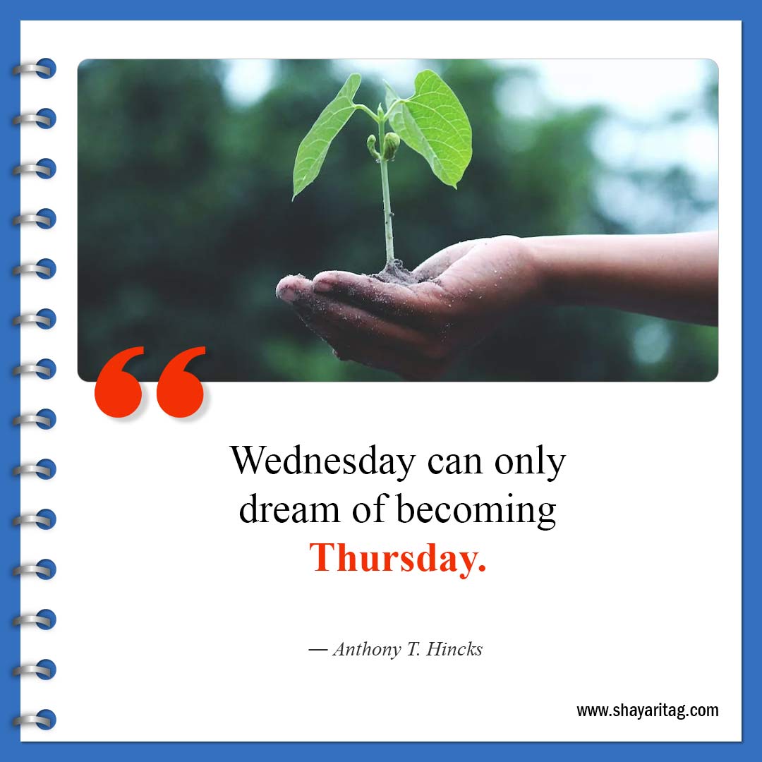 Wednesday can only dream-Best Wednesday motivational quotes for business work