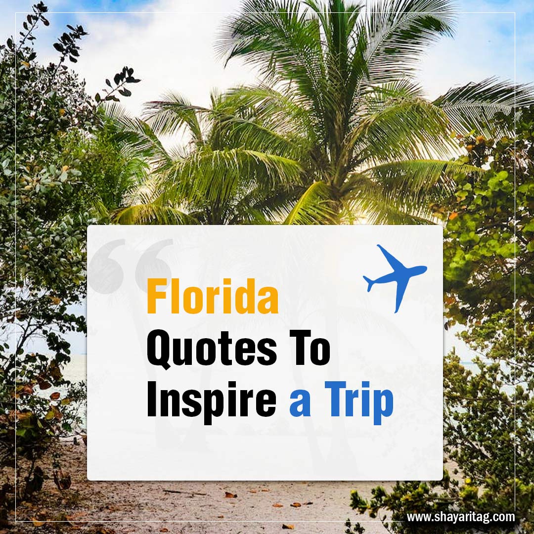 best-florida-quotes-to-inspire-a-trip-shayaritag