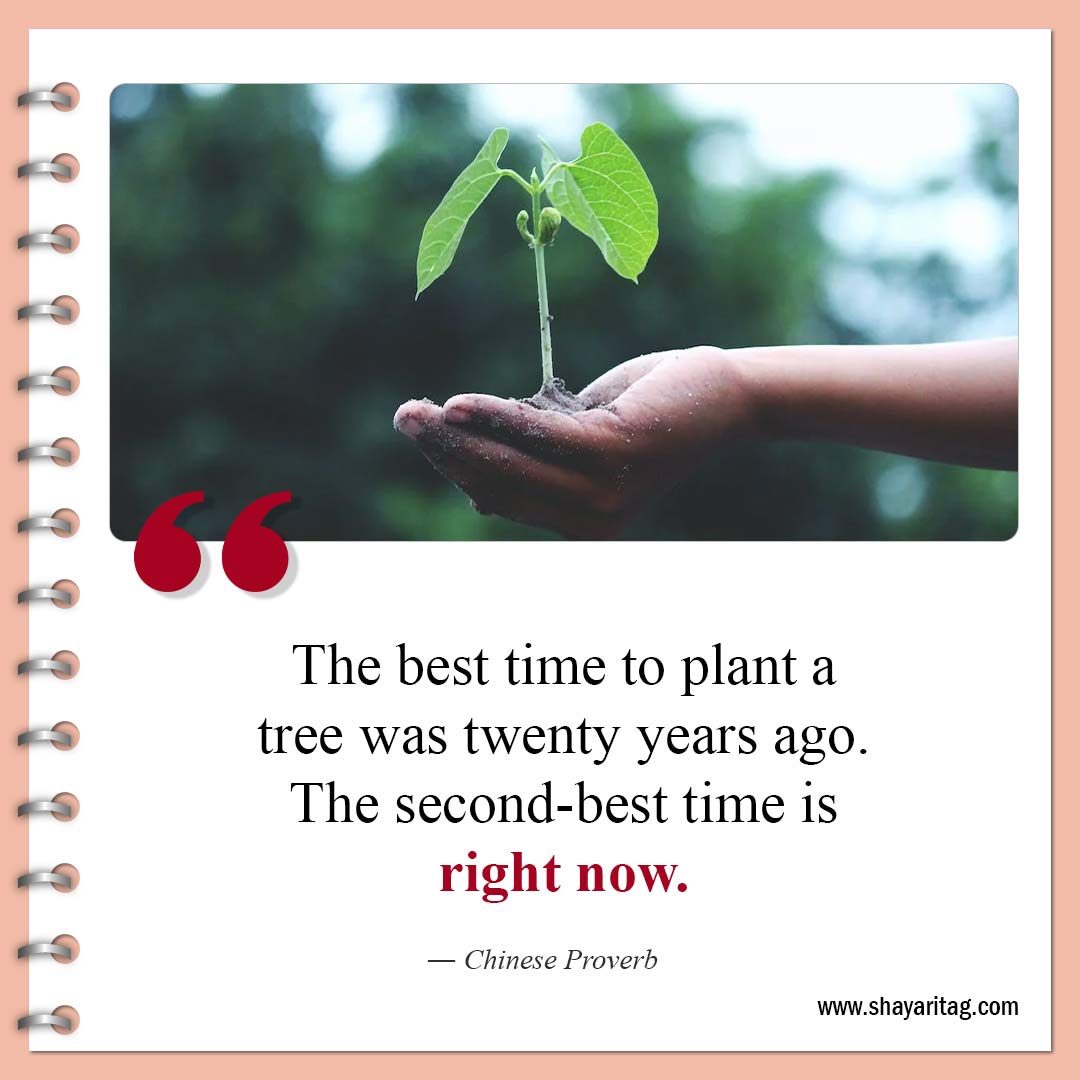 The best time to plant a tree-Best Deep Quotes that hit hard about Life