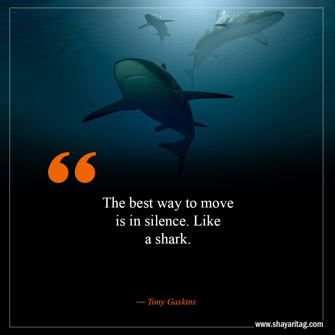 The best way to move is in silence Like a shark-Best Move In Silence Quotes with images