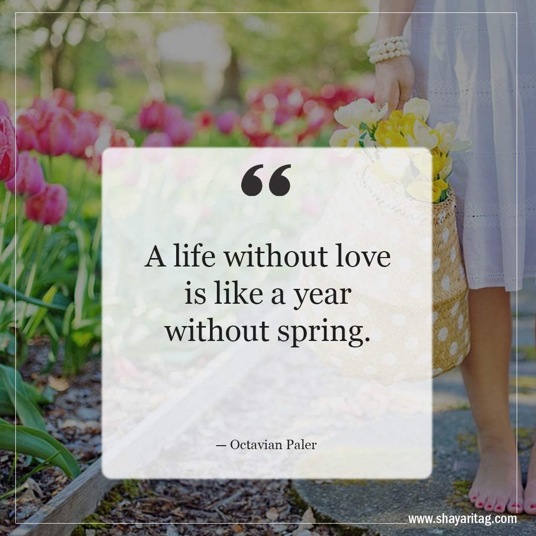 A life without love is like a year without-Inspirational Quotes about Spring and New Beginnings Saying