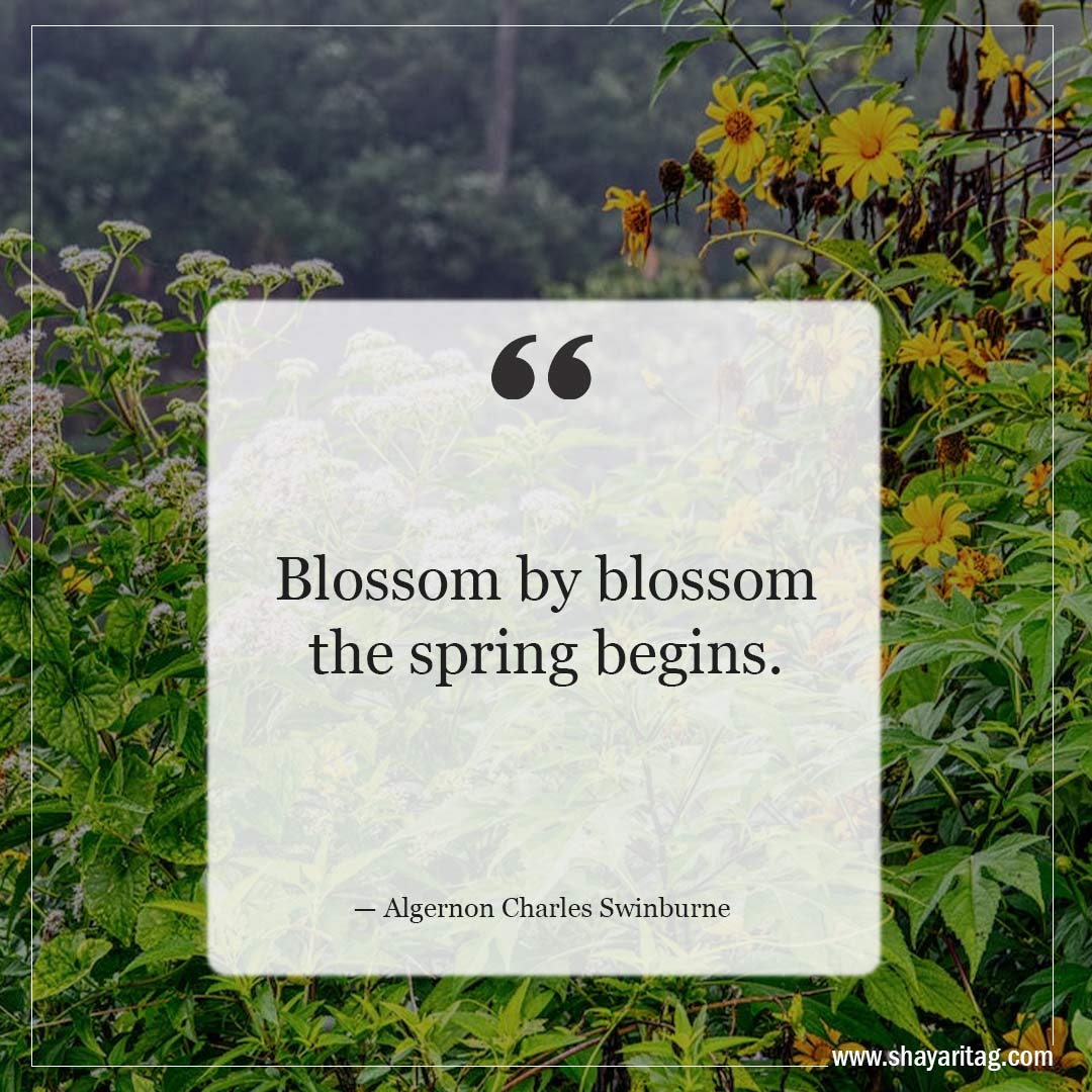 Blossom by blossom the spring begins-Inspirational Quotes about Spring and New Beginnings Saying