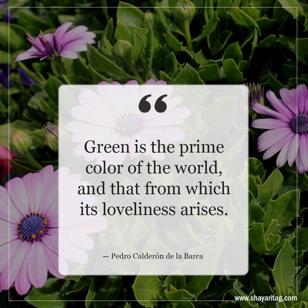Green is the prime color of the world-Inspirational Quotes about Spring and New Beginnings Saying