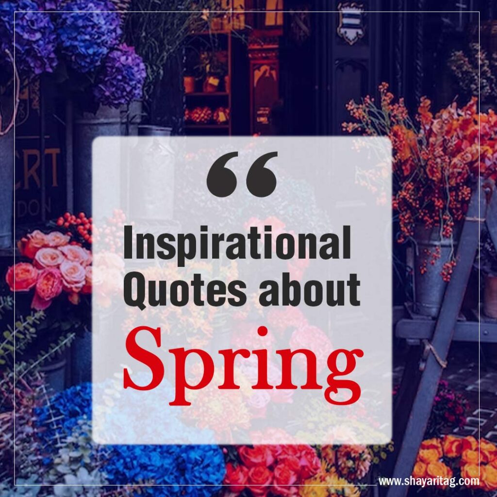 Inspirational Quotes about Spring and New Beginnings Saying