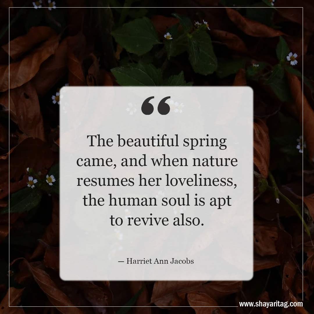 The beautiful spring came-Inspirational Quotes about Spring and New Beginnings Saying