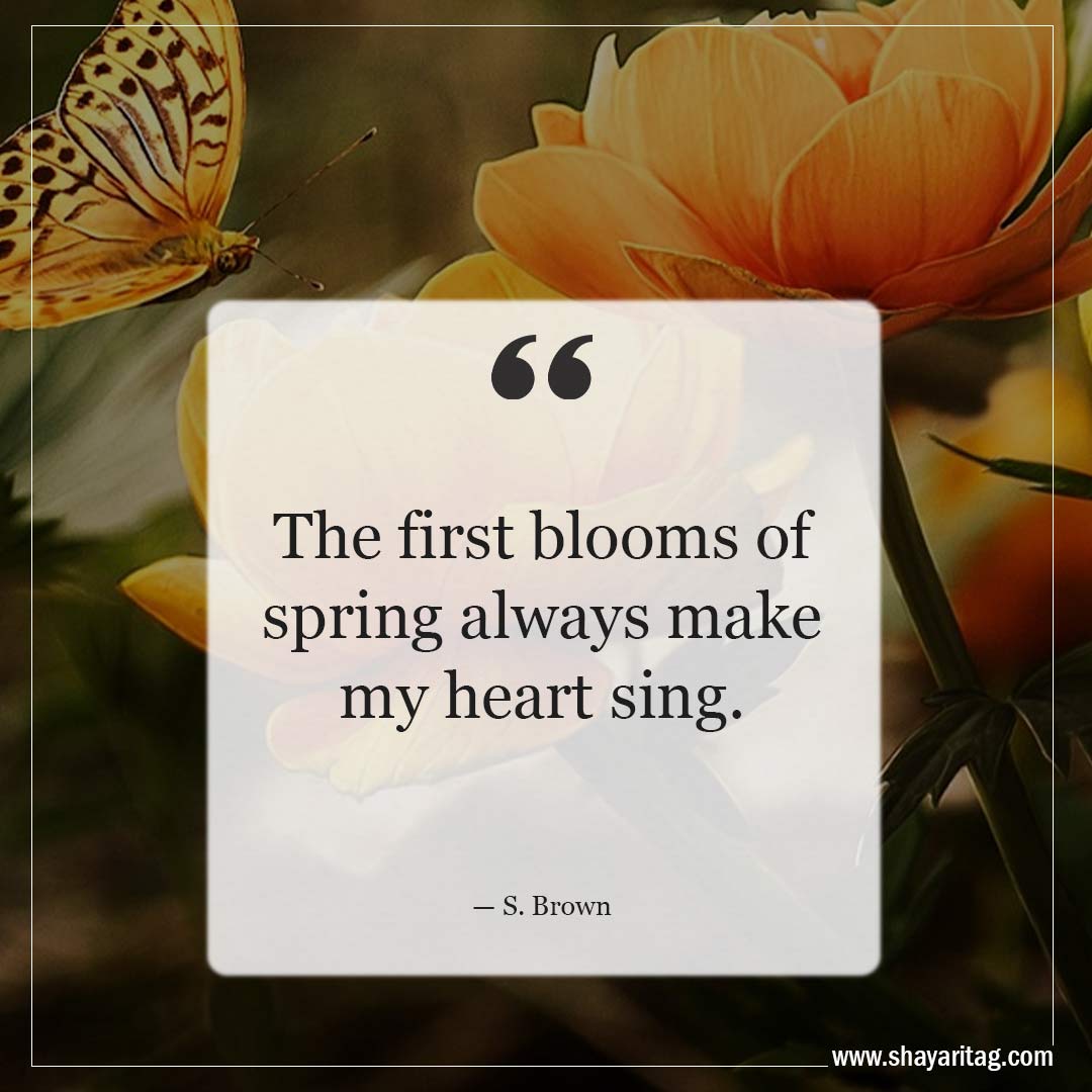 The first blooms of spring always-Inspirational Quotes about Spring and New Beginnings Saying