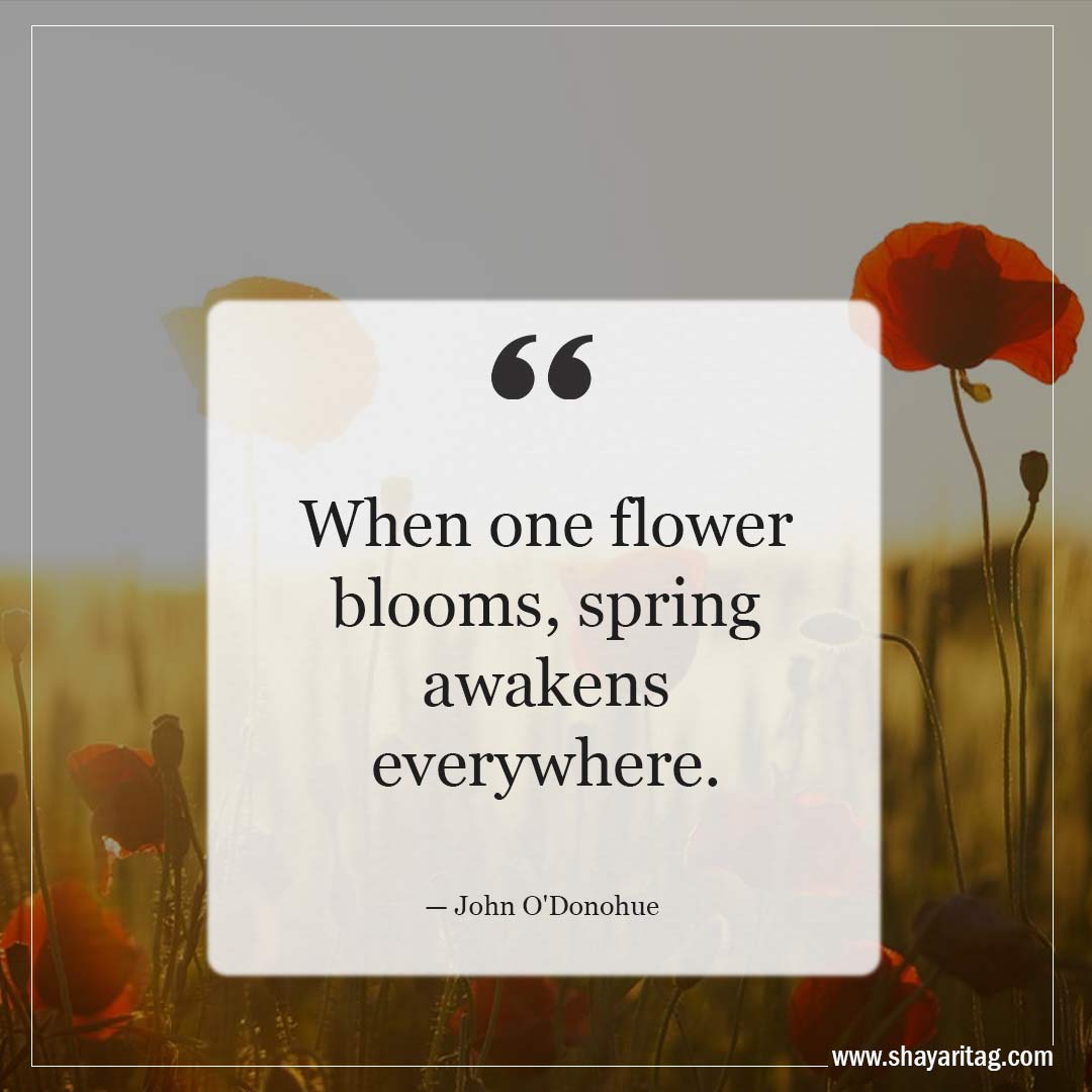 When one flower blooms-Inspirational Quotes about Spring and New Beginnings Saying