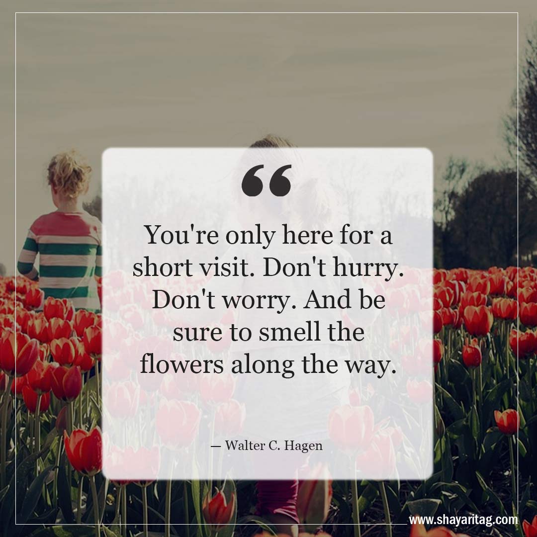 You're only here for a short visit-Inspirational Quotes about Spring and New Beginnings Saying