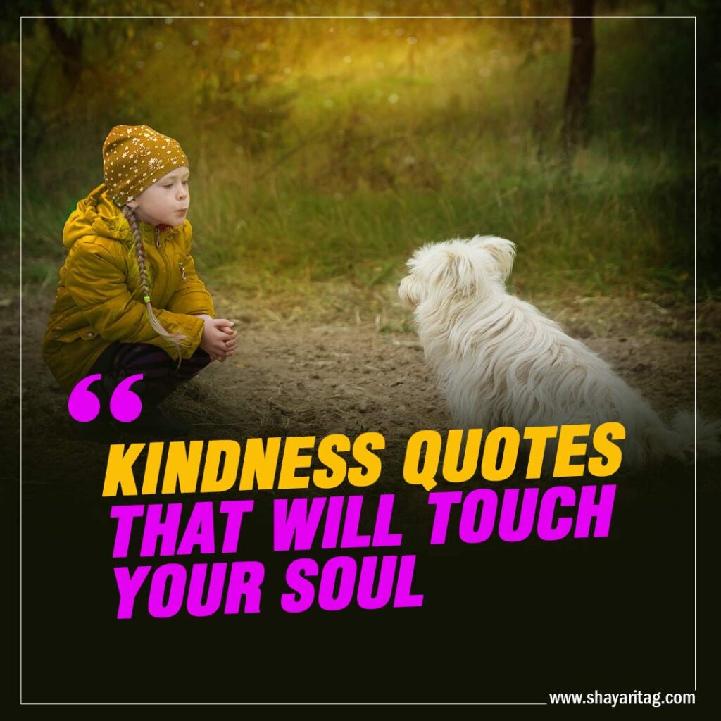 Kindness Quotes That Will Touch Your Soul