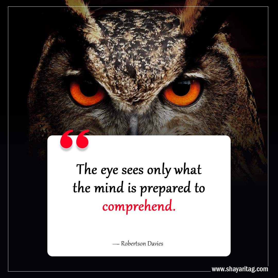 The eye sees only what the mind-Inspiring Philosophy Quotes to Challenge Your Perception