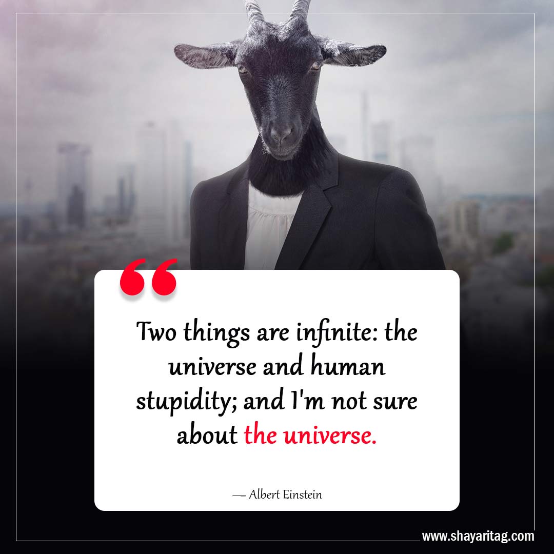 Two things are infinite-Inspiring Philosophy Quotes to Challenge Your Perception