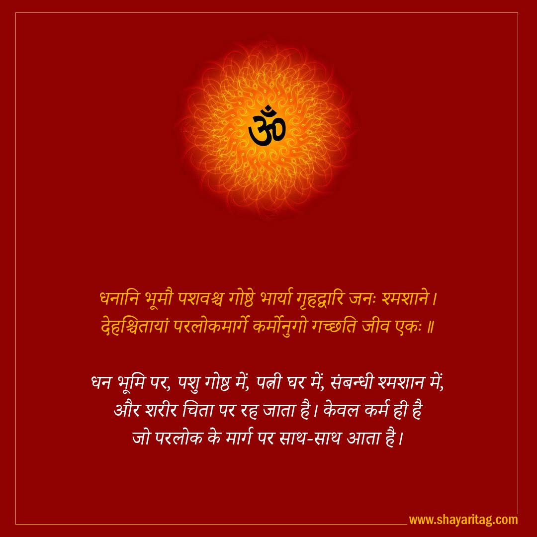 dhanani bhumau pashwshch goshthe bharya-Best Inspirational Sanskrit Quotes on Life with image