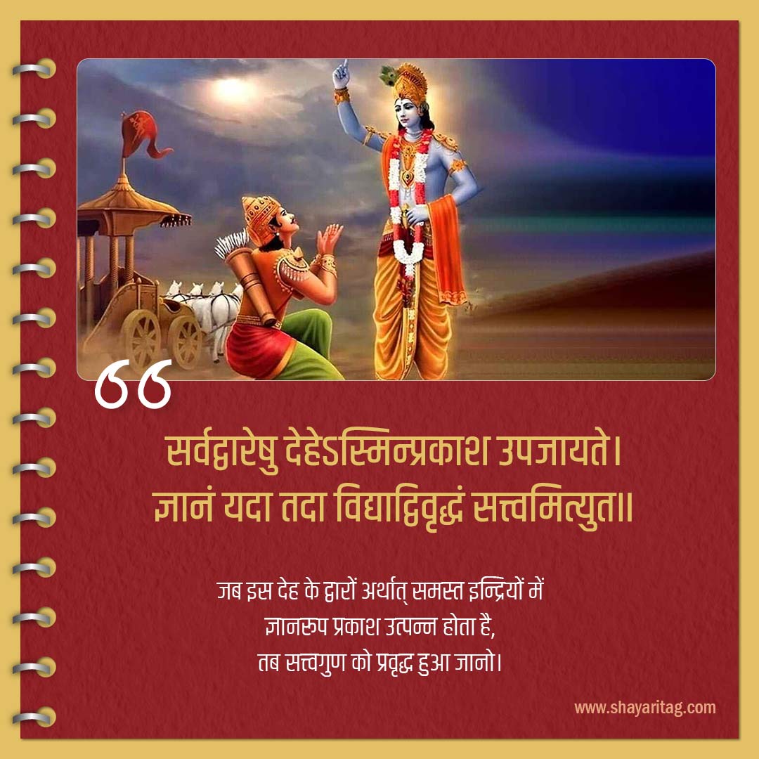 sarwadwareshu dehesminprakash upajayte-slokas of bhagavad gita in hindi